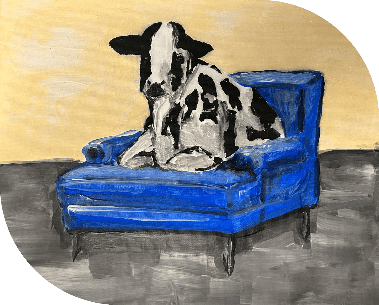 A cow sitting on top of a blue chair.