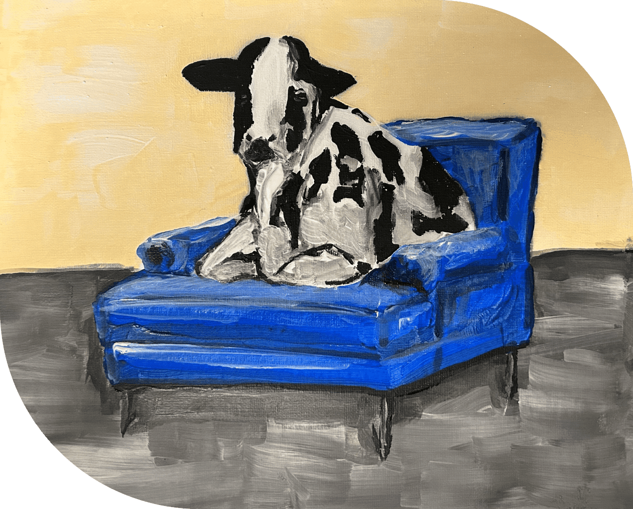 A cow sitting on top of a blue chair.