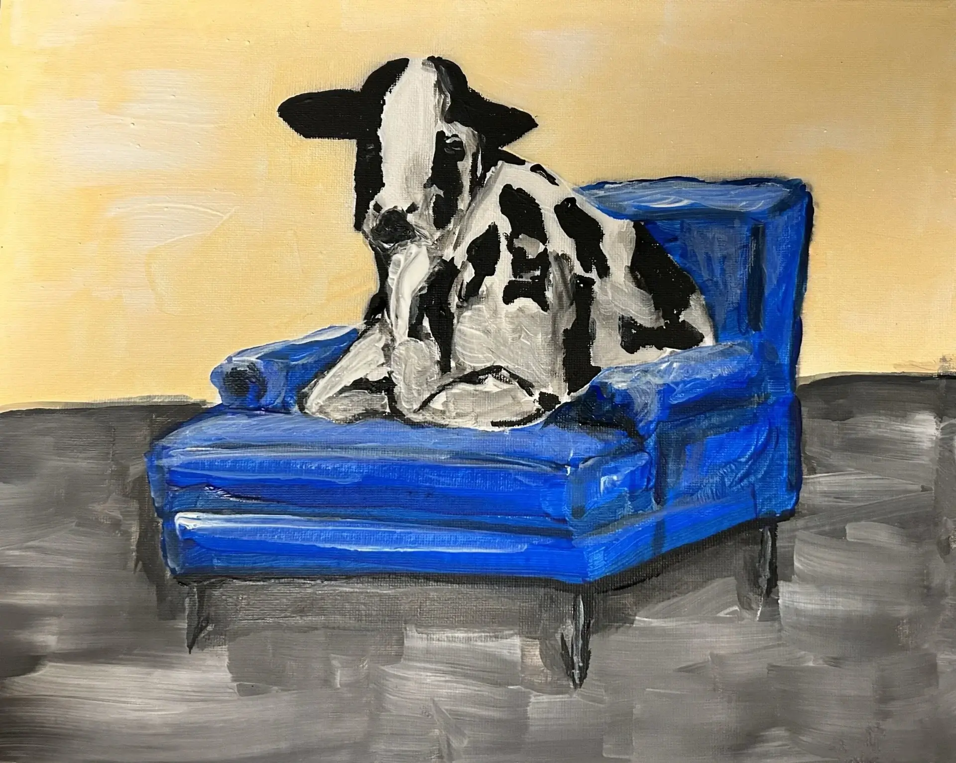 A cow sitting on top of a blue chair.